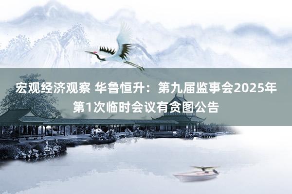 宏观经济观察 华鲁恒升：第九届监事会2025年第1次临时会议有贪图公告