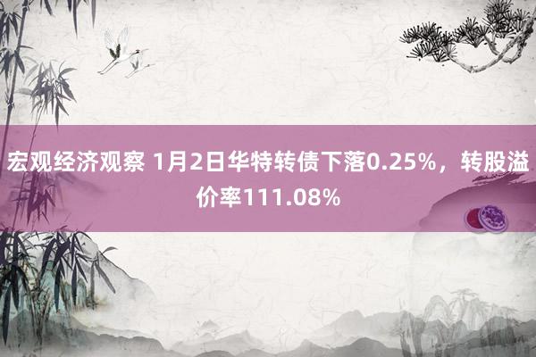 宏观经济观察 1月2日华特转债下落0.25%，转股溢价率111.08%