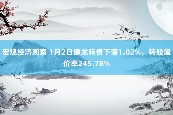 宏观经济观察 1月2日建龙转债下落1.02%，转股溢价率245.78%