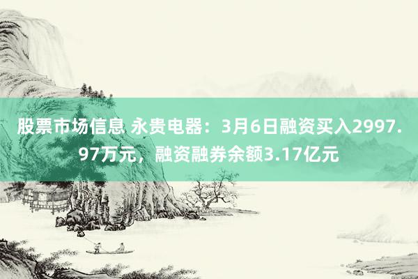 股票市场信息 永贵电器：3月6日融资买入2997.97万元，融资融券余额3.17亿元