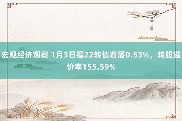 宏观经济观察 1月3日福22转债着落0.53%，转股溢价率155.59%