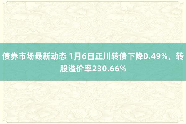 债券市场最新动态 1月6日正川转债下降0.49%，转股溢价率230.66%