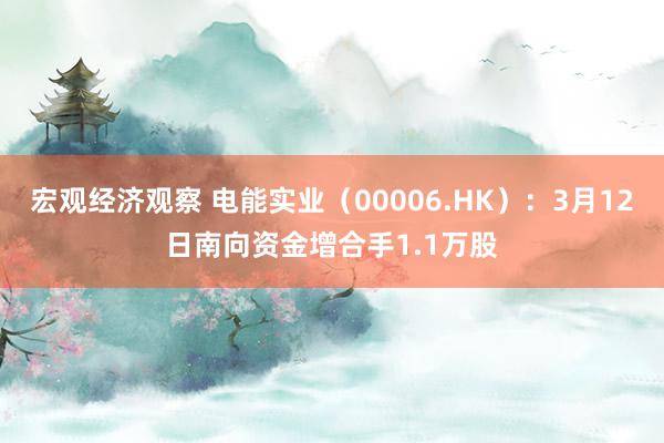 宏观经济观察 电能实业（00006.HK）：3月12日南向资金增合手1.1万股