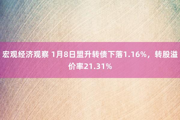 宏观经济观察 1月8日盟升转债下落1.16%，转股溢价率21.31%