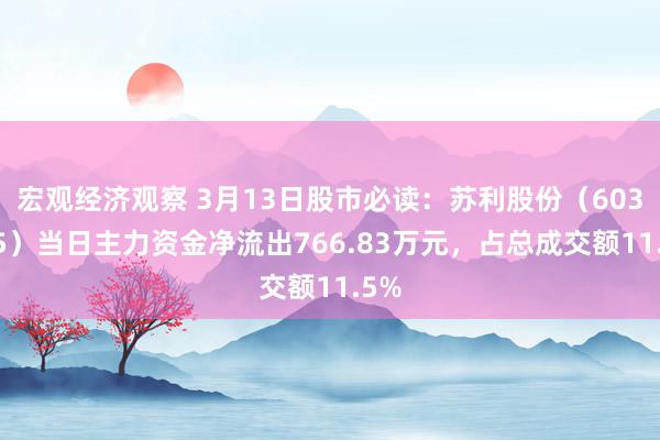 宏观经济观察 3月13日股市必读：苏利股份（603585）当日主力资金净流出766.83万元，占总成交额11.5%