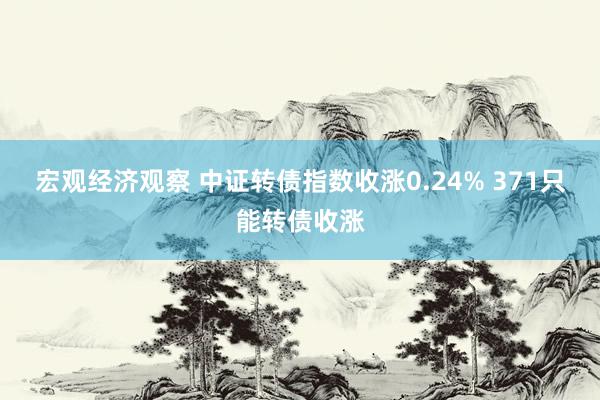 宏观经济观察 中证转债指数收涨0.24% 371只能转债收涨